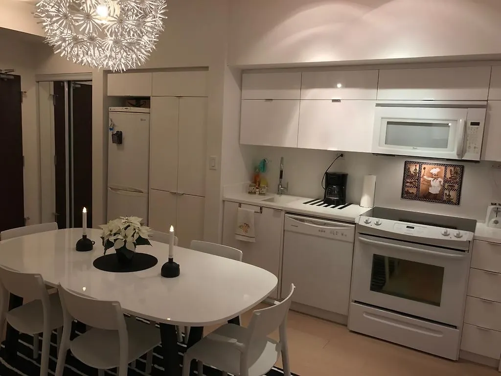 Downtown Toronto / Close To Cn Tower / Free Parking/ Excellent Amenities Appartamento